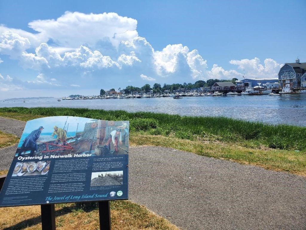 Veteran’s Park Marina